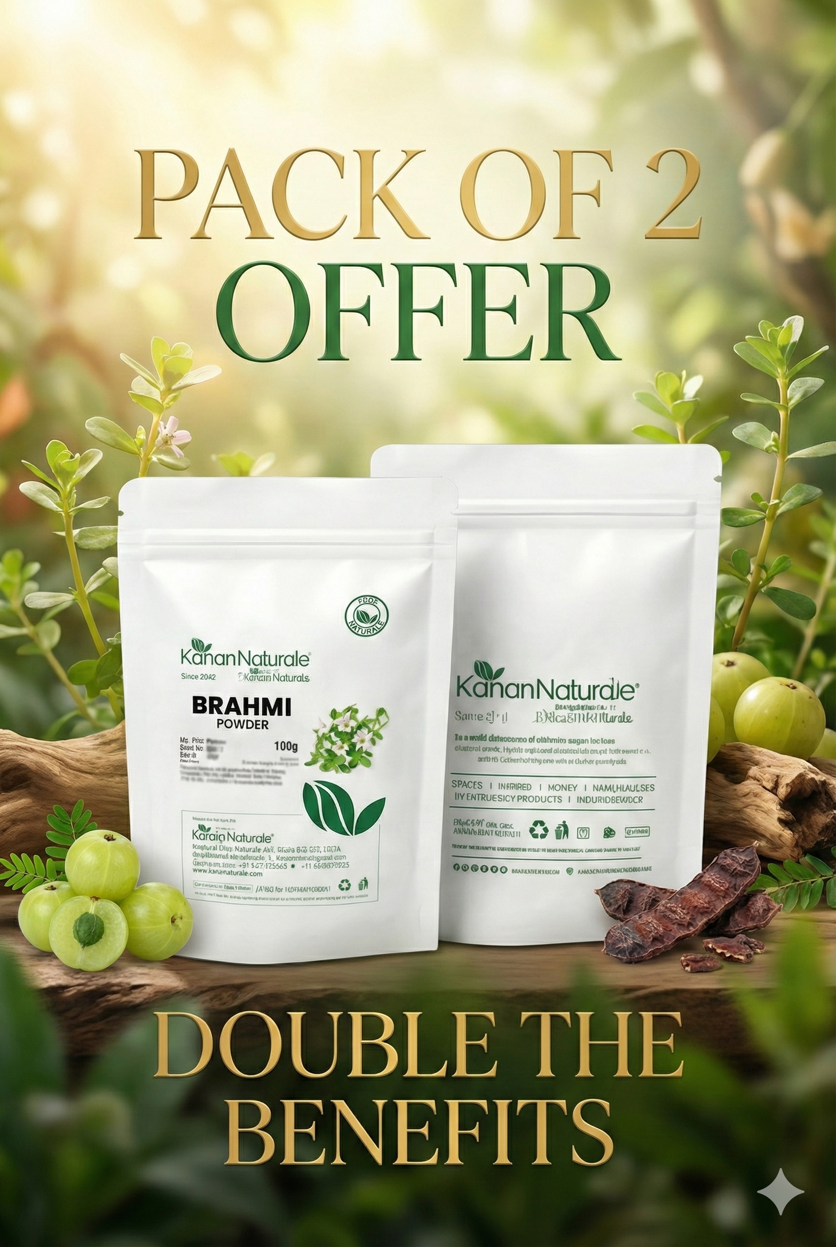 KERALA NATURALS Brahmi Powder 100g pack 2