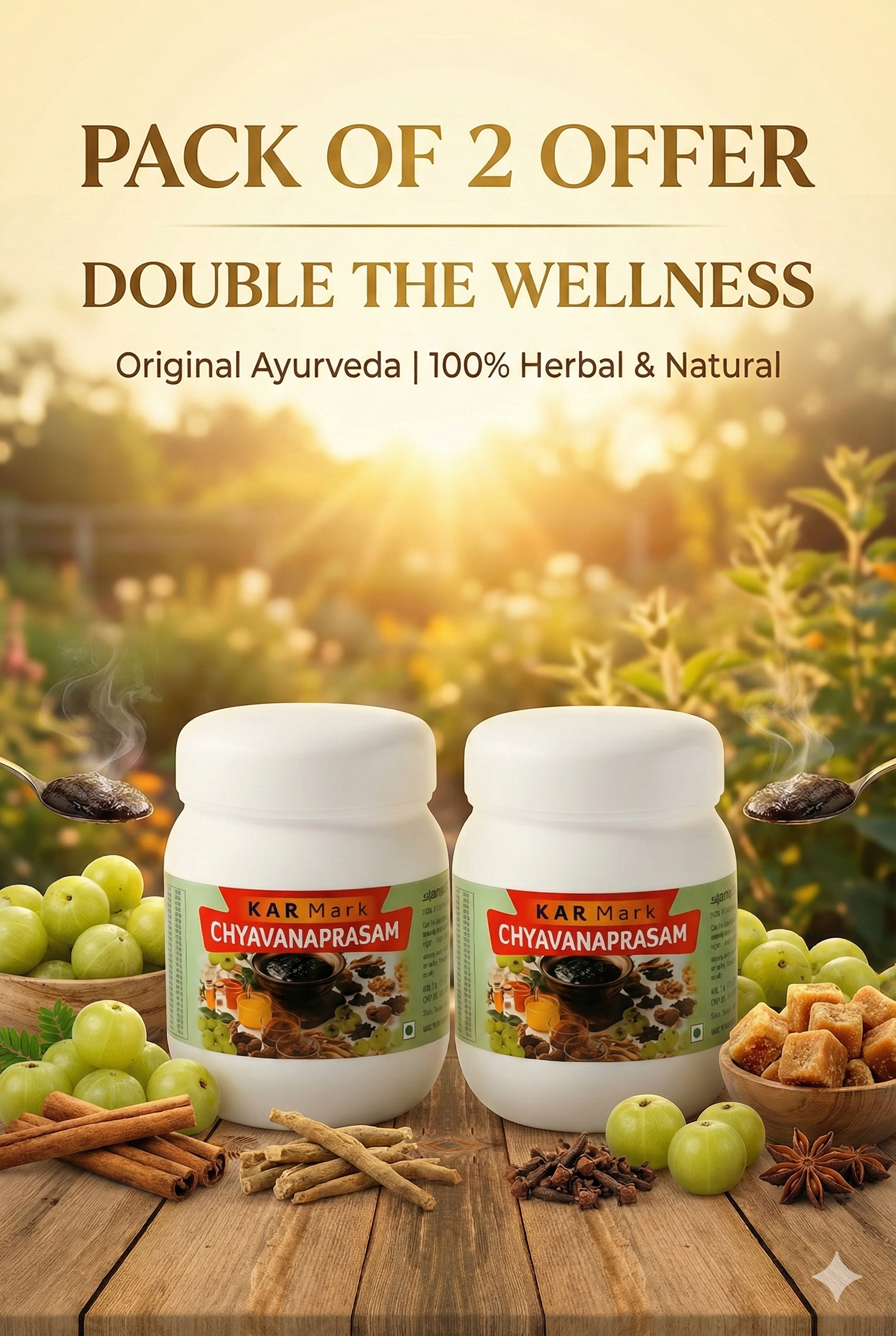 KARMARK CHYAVANAPRASAM 500.GM PACK 2